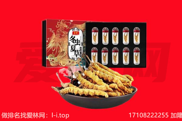 天津红桥区回收虫草.jpg